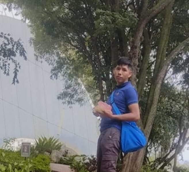 Joven al que le cayó una rama de eucalipto en el jardín botánico de ...