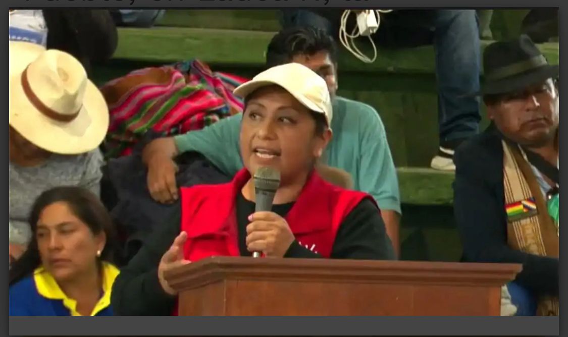 Ruth Nina, aliada política de Evo Morales en ampliado en Lauca Ñ